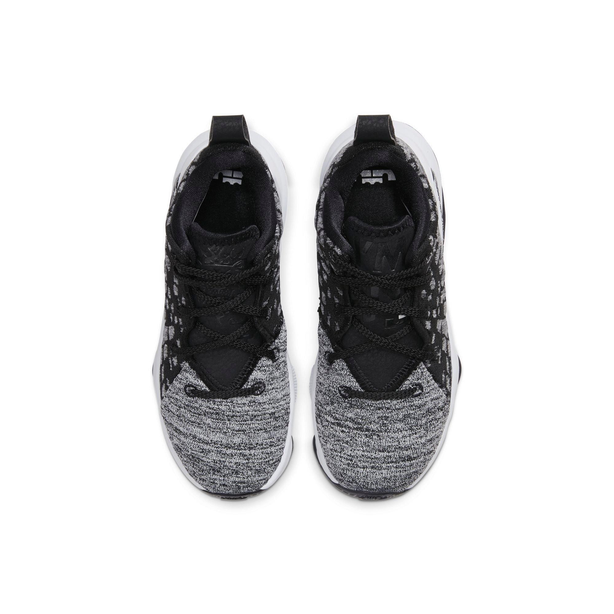 hibbett lebron 17