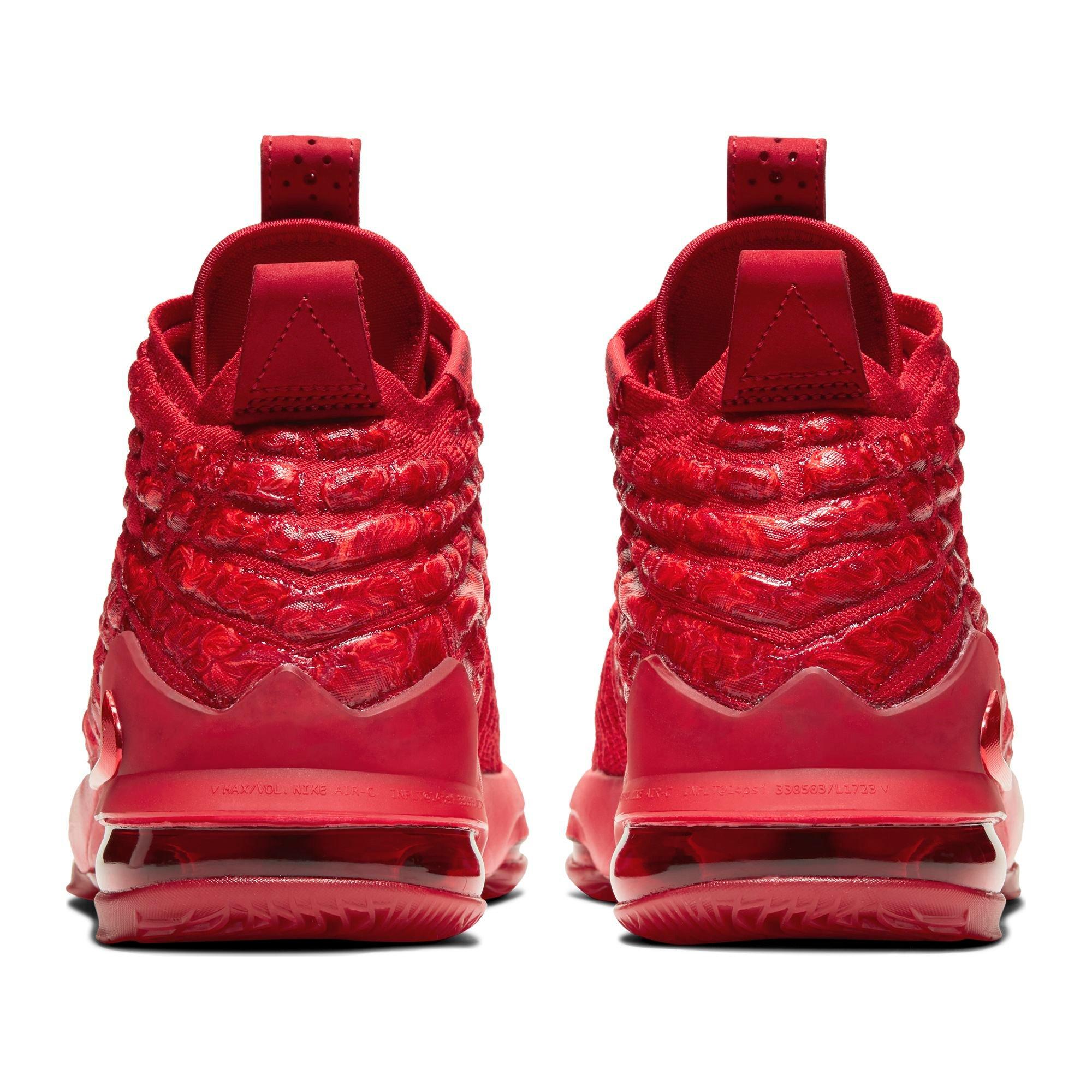 hibbett lebron 17