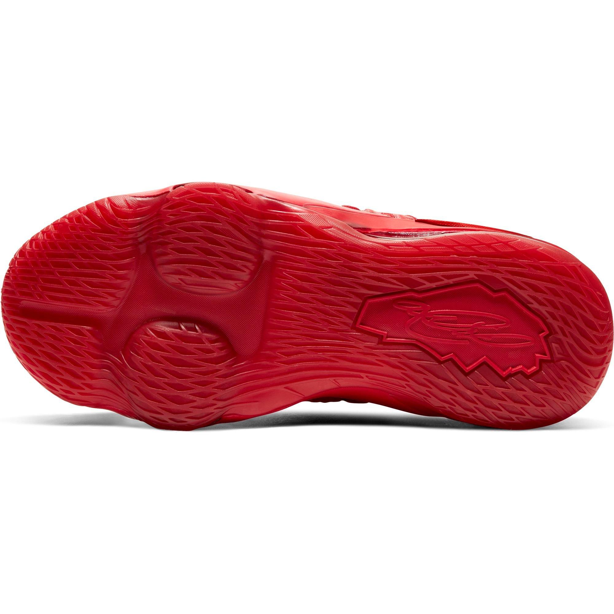 hibbett sports lebron 17