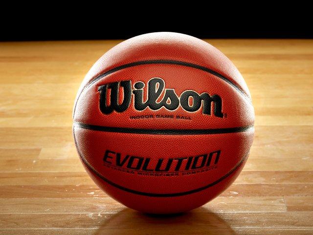 Wilson Official Evolution Gameball Basketball