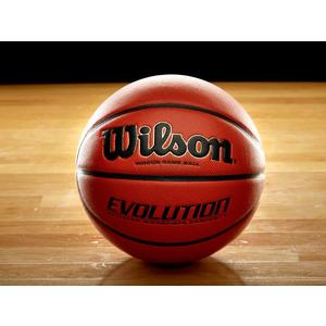Wilson Evolution Official Gameball Basketball