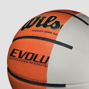 Wilson Official Evolution Gameball Basketball