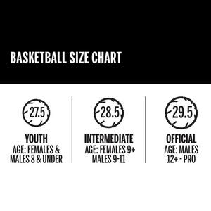 Wilson Evolution Intermediate Gameball Basketball