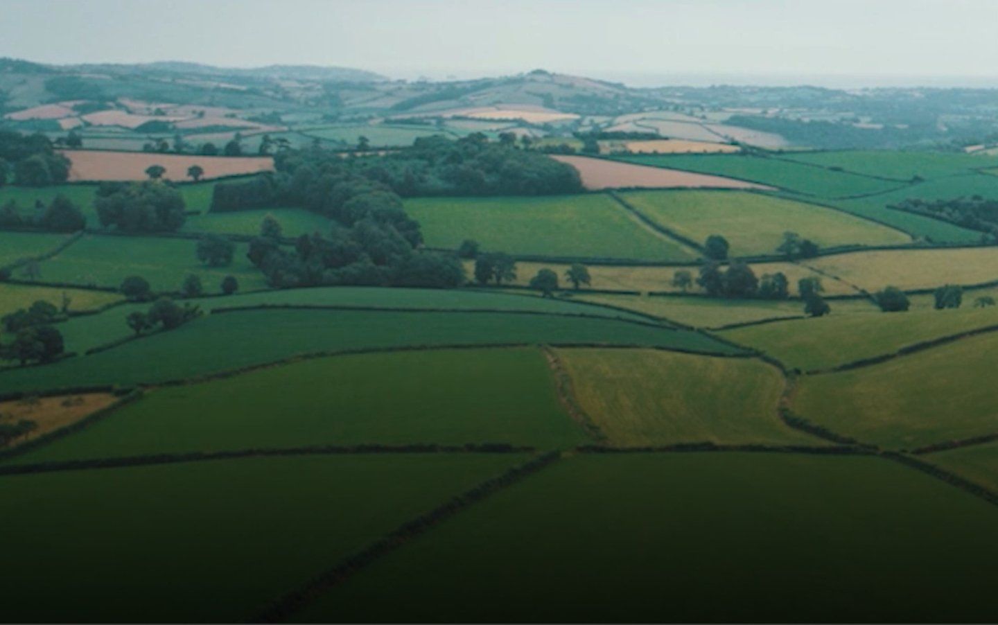 View of green fields in the countryside