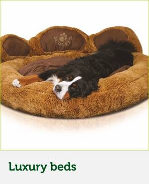 Dog Luxury bedding