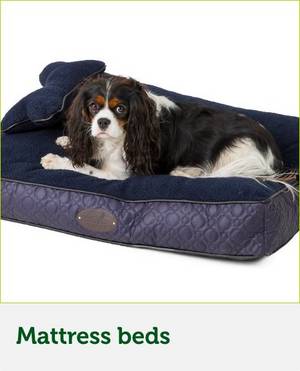 Dog mattress bedding