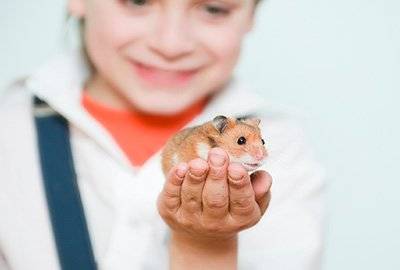 Girl holding a hamster in hand