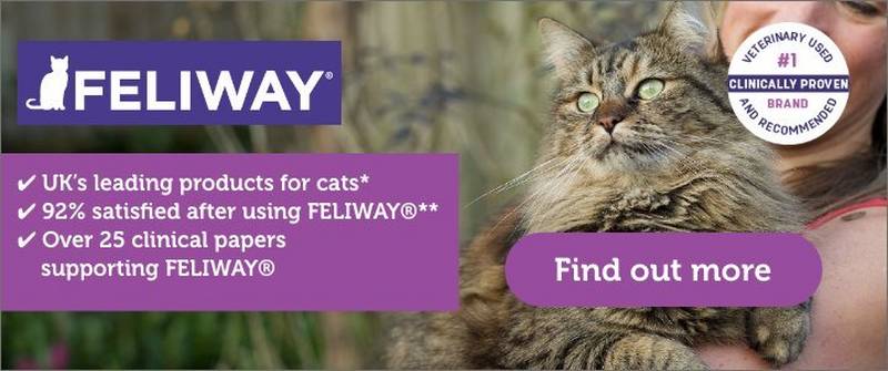 Feliway Optimum Cat Diffuser Refill, 3 count